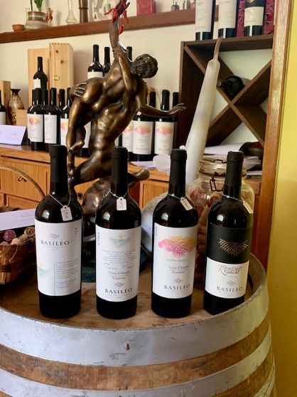 Dégustation de vins Costa d'Amalfi avec visite des vignobles.