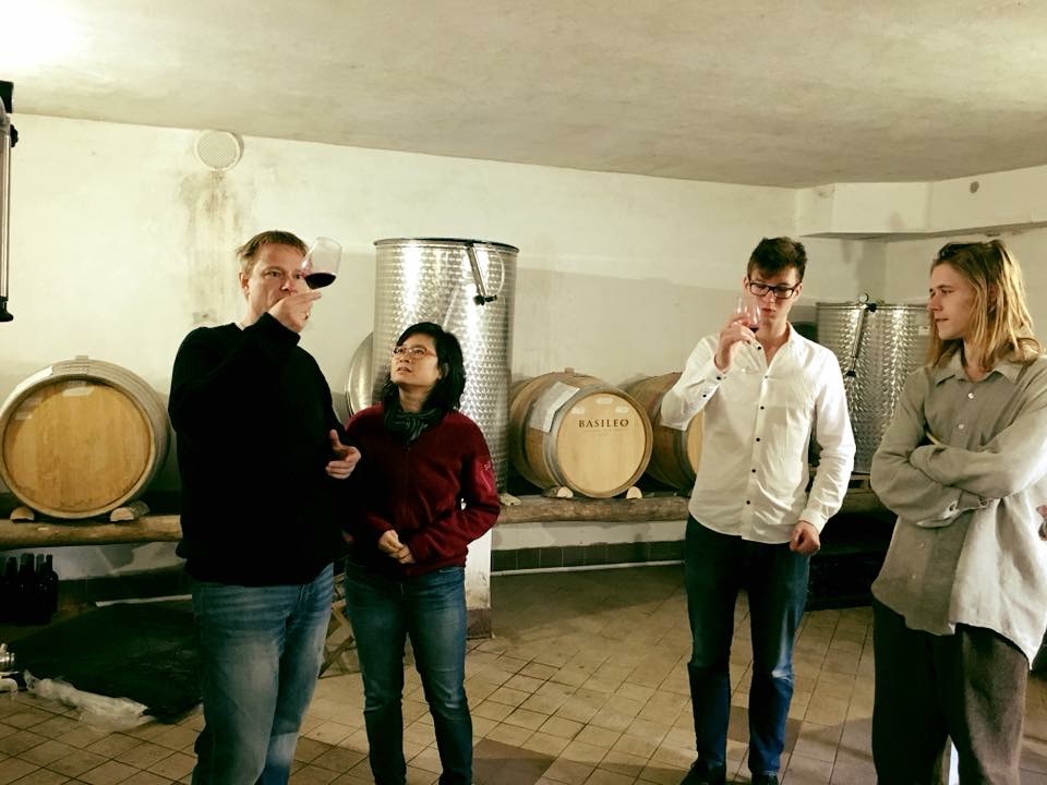 Dégustation de vins Costa d'Amalfi avec visite des vignobles.
