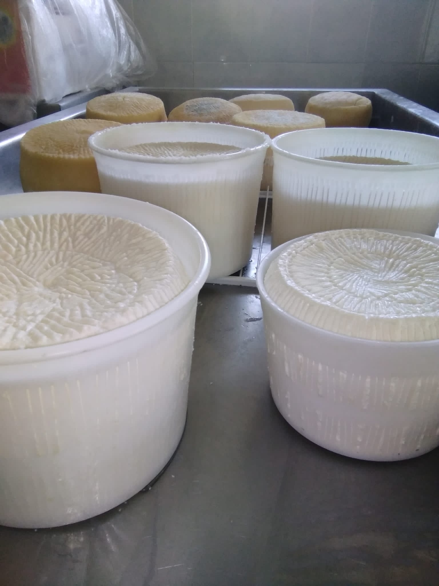 Create your own organic cheese