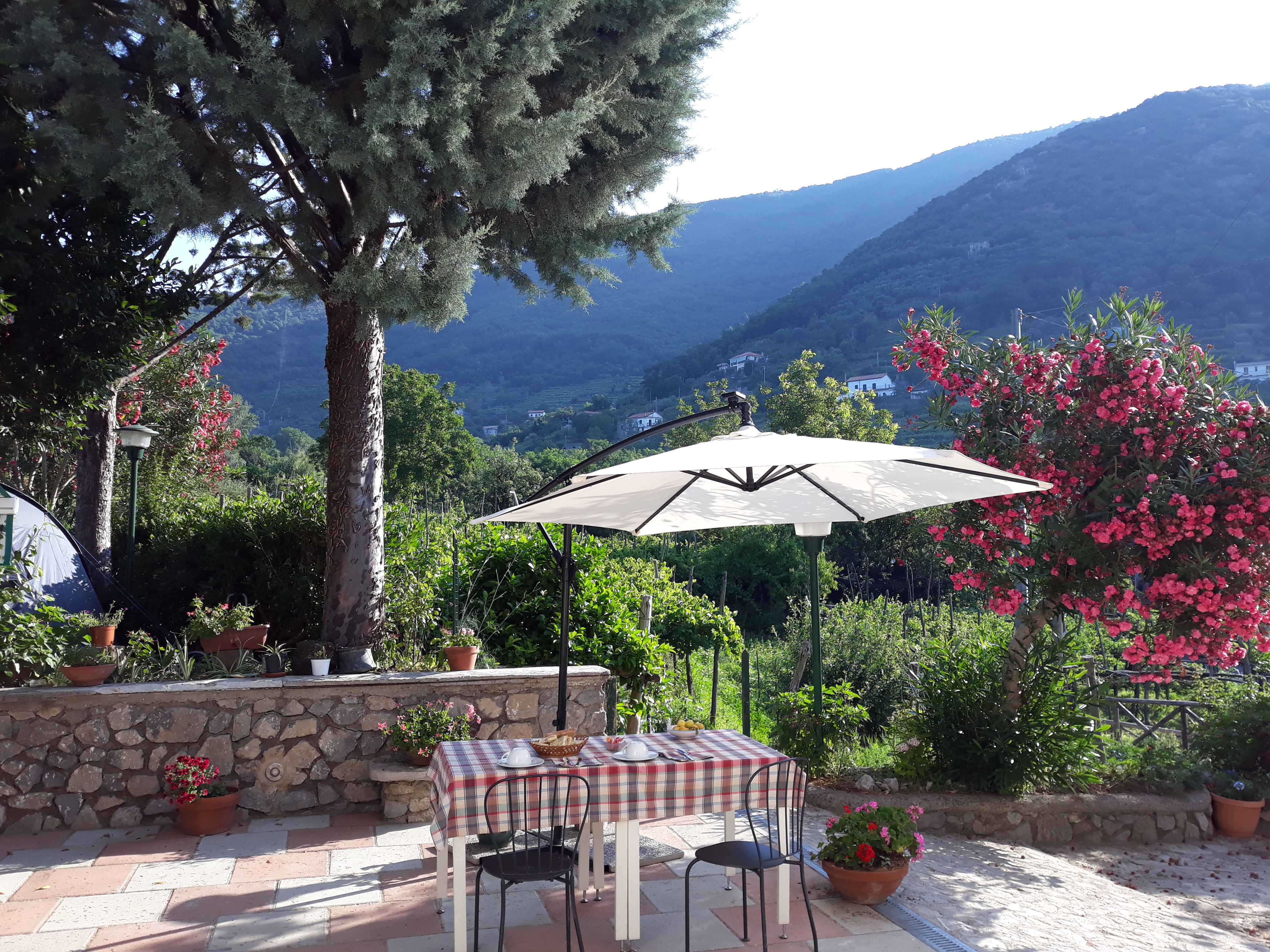 In Tenda tra le vigne della Costiera Amalfitana