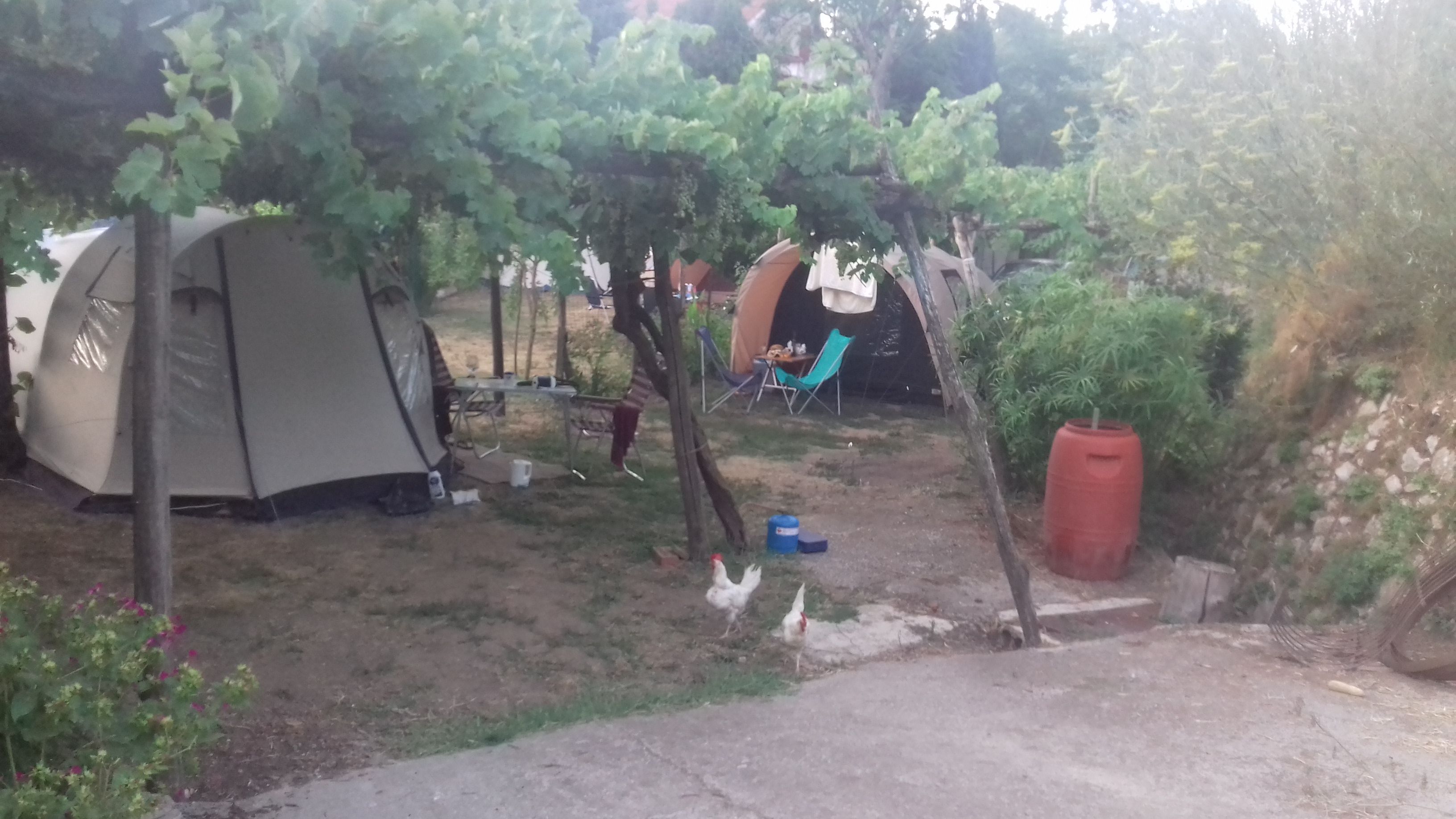 In Tenda tra le vigne della Costiera Amalfitana