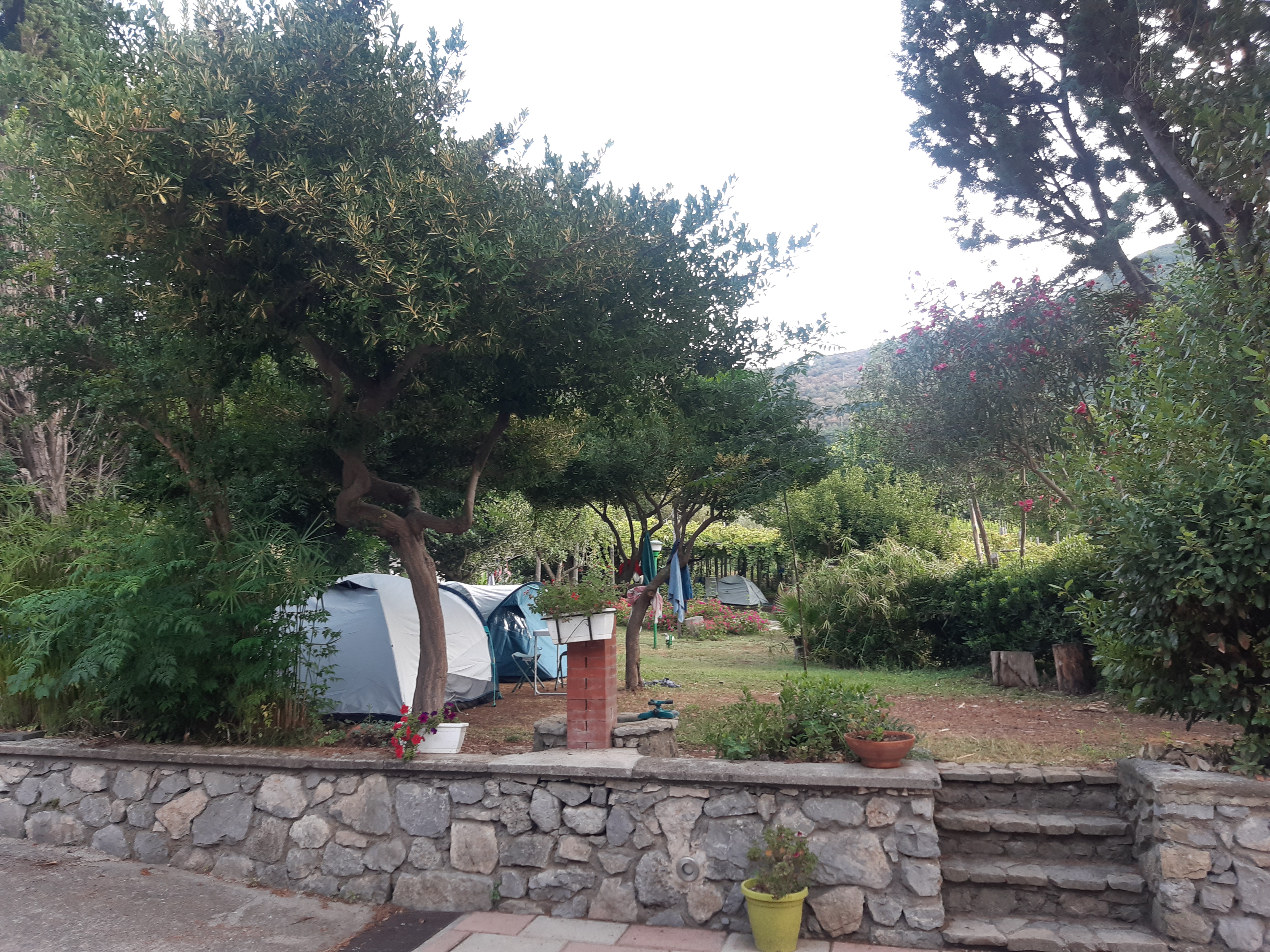 In Tenda tra le vigne della Costiera Amalfitana