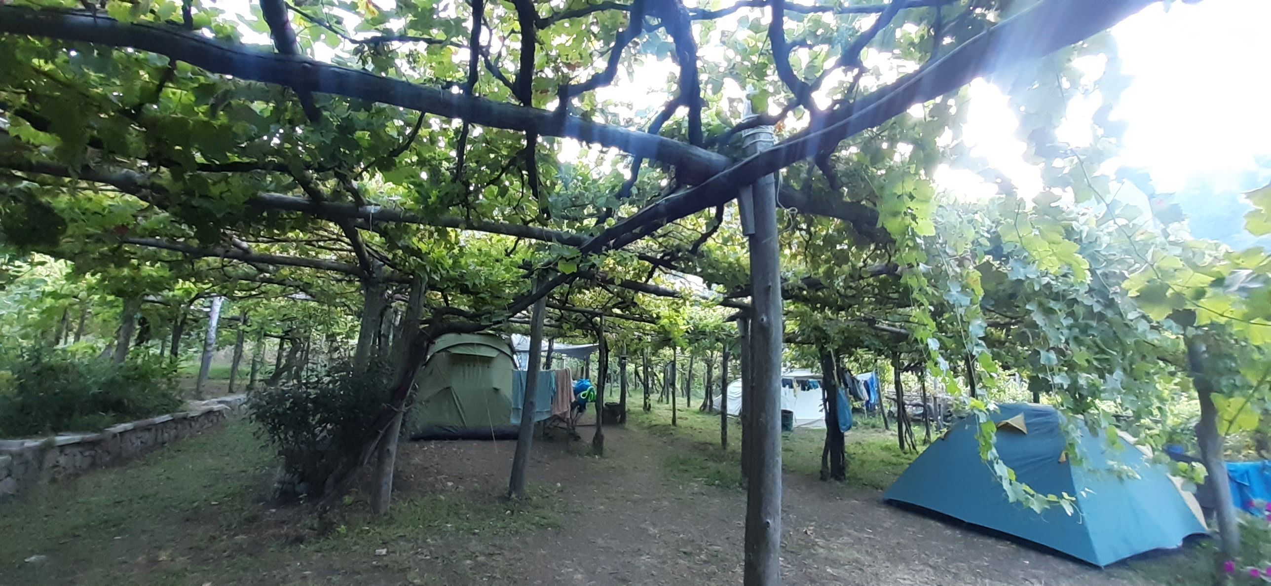 In Tenda tra le vigne della Costiera Amalfitana