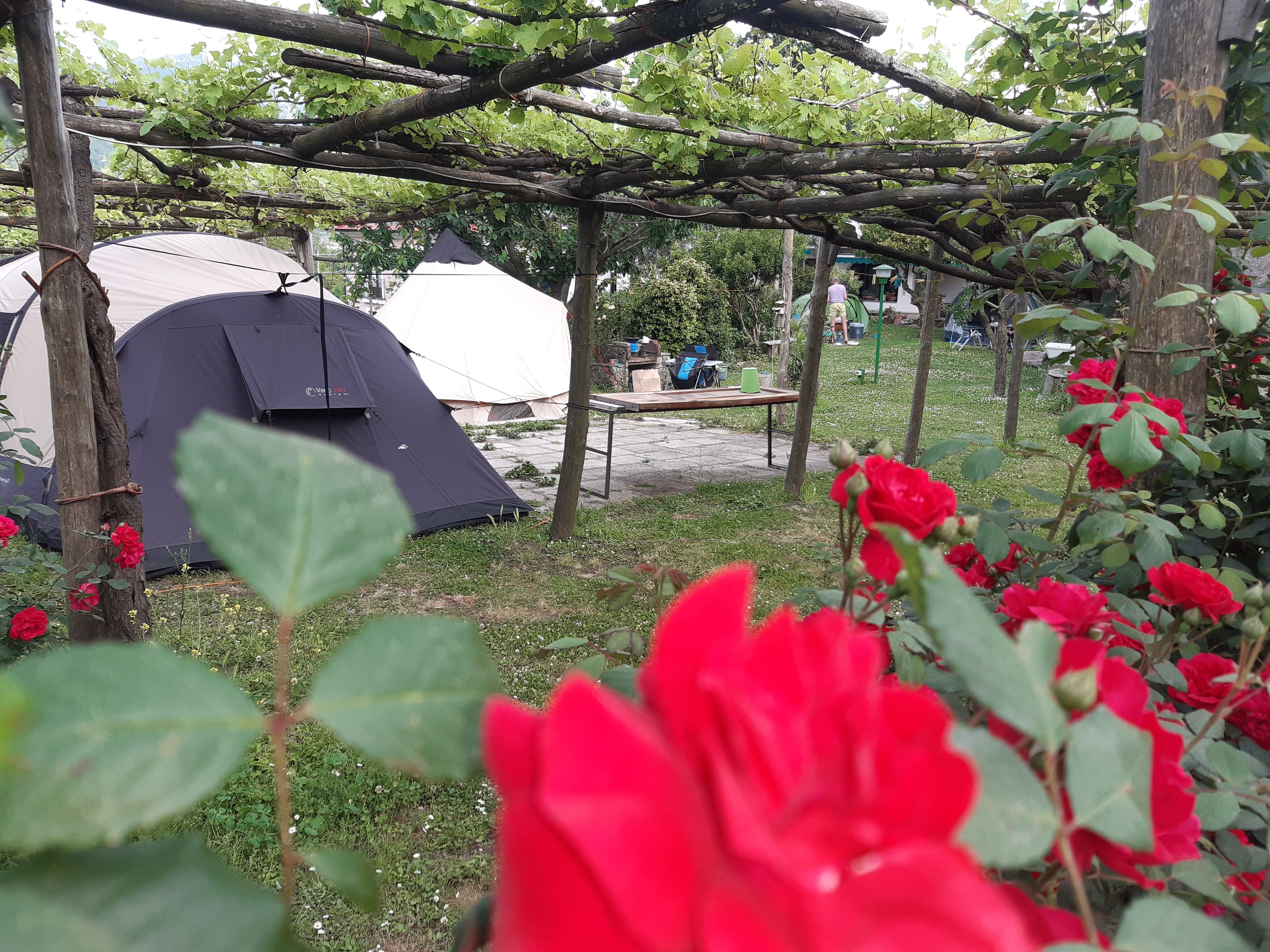 In Tenda tra le vigne della Costiera Amalfitana