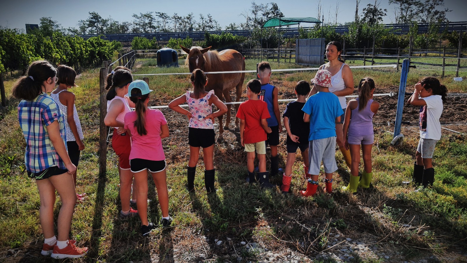 Sustainable camping at Elilu