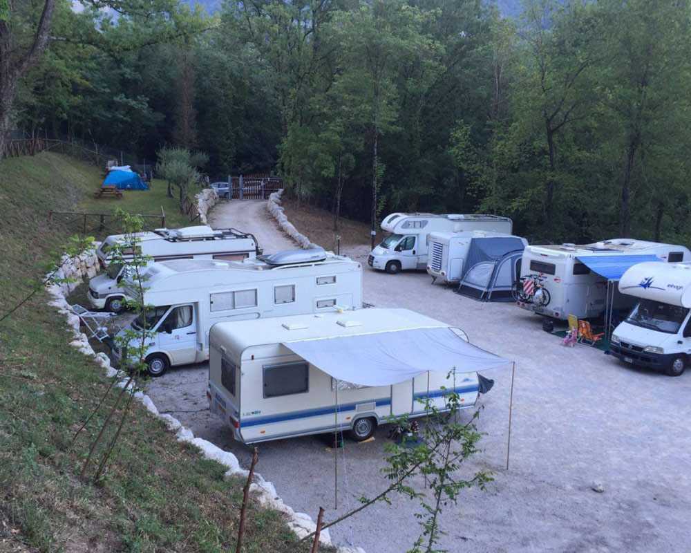 dallo scoiattolo