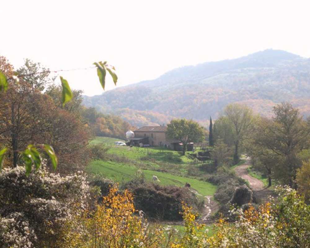 Bauernhof im Borgo Il Cornacchio