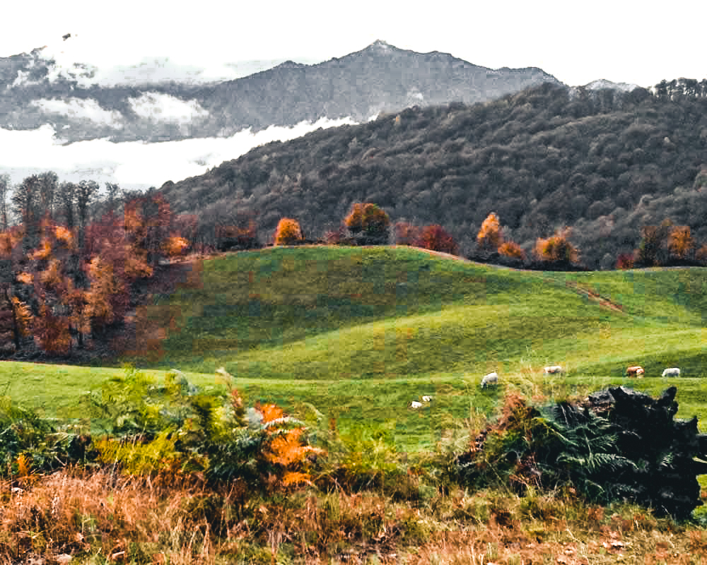 Podere vecchi meli a Vercelli