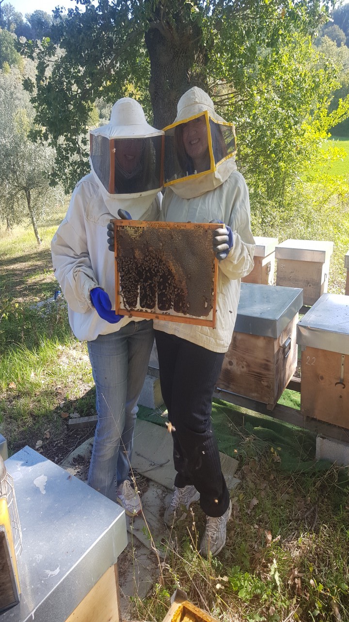 Fattoria naturale Giorgetti