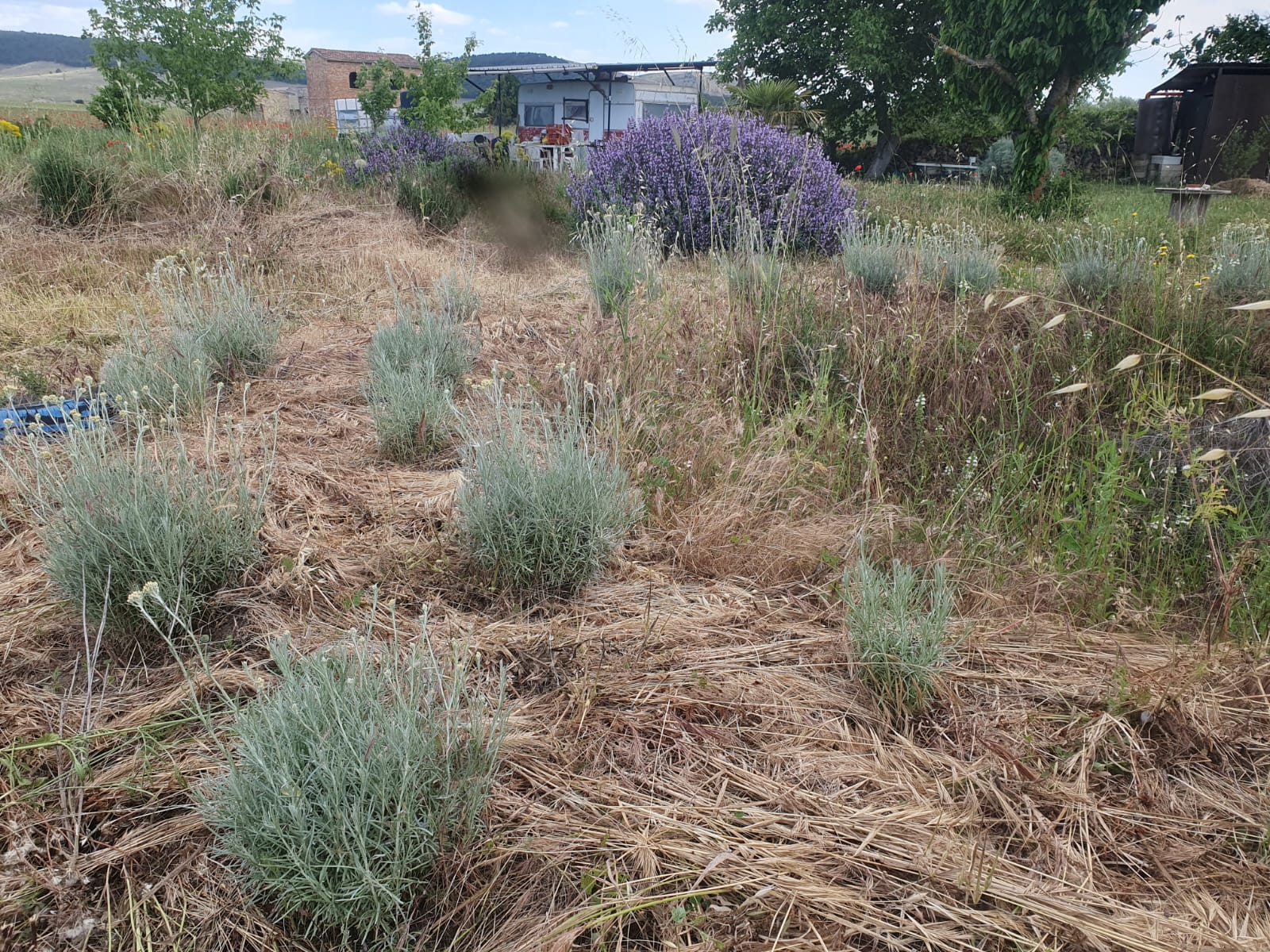 Sosta nella campagna pugliese di Gravina