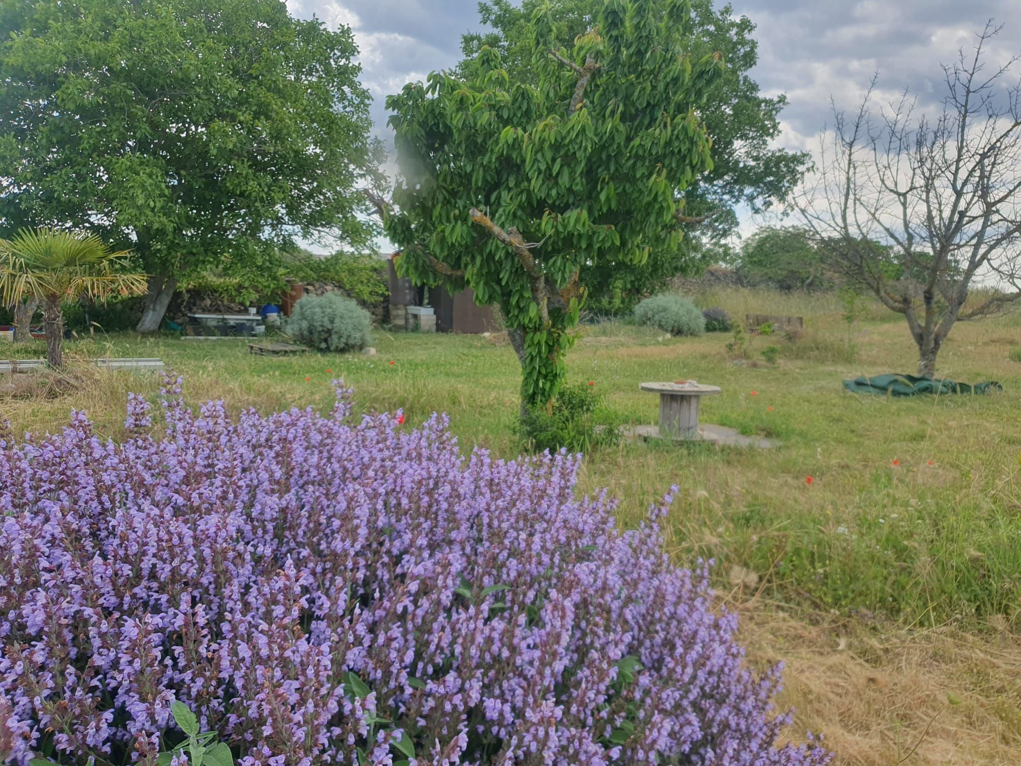 Sosta nella campagna pugliese di Gravina