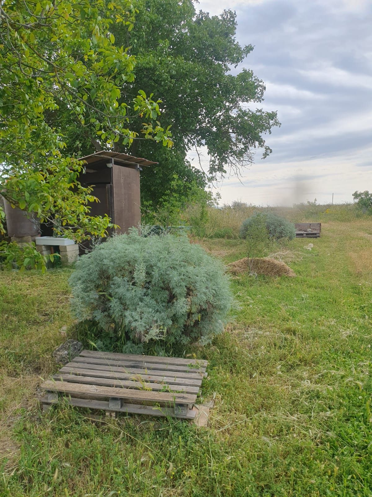 Sosta nella campagna pugliese di Gravina