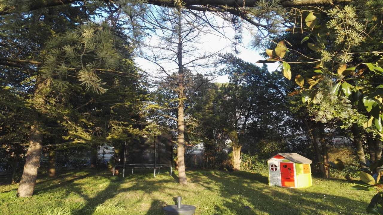 Il Giardino sul Campo di Grano e le Meraviglie Romagnole