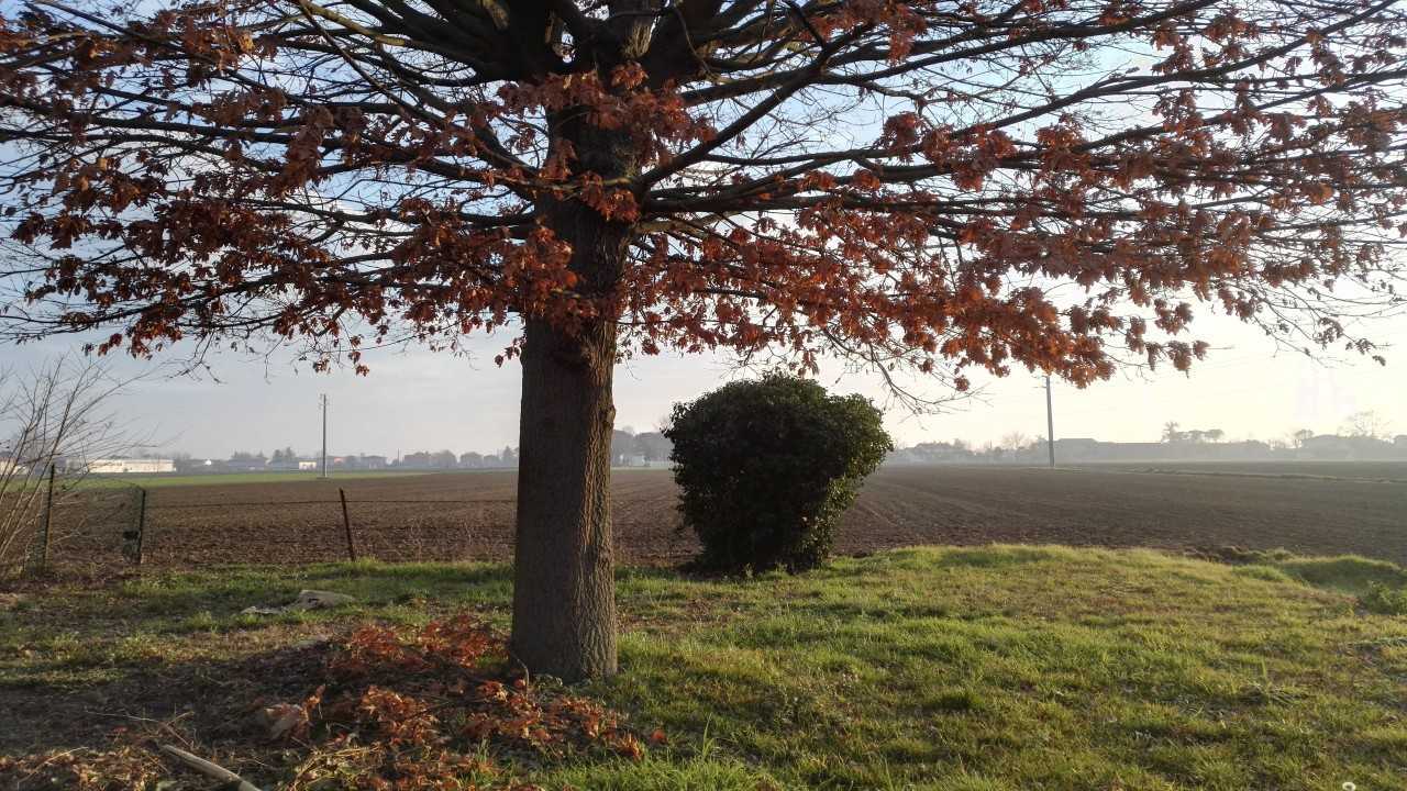 Il Giardino sul Campo di Grano e le Meraviglie Romagnole