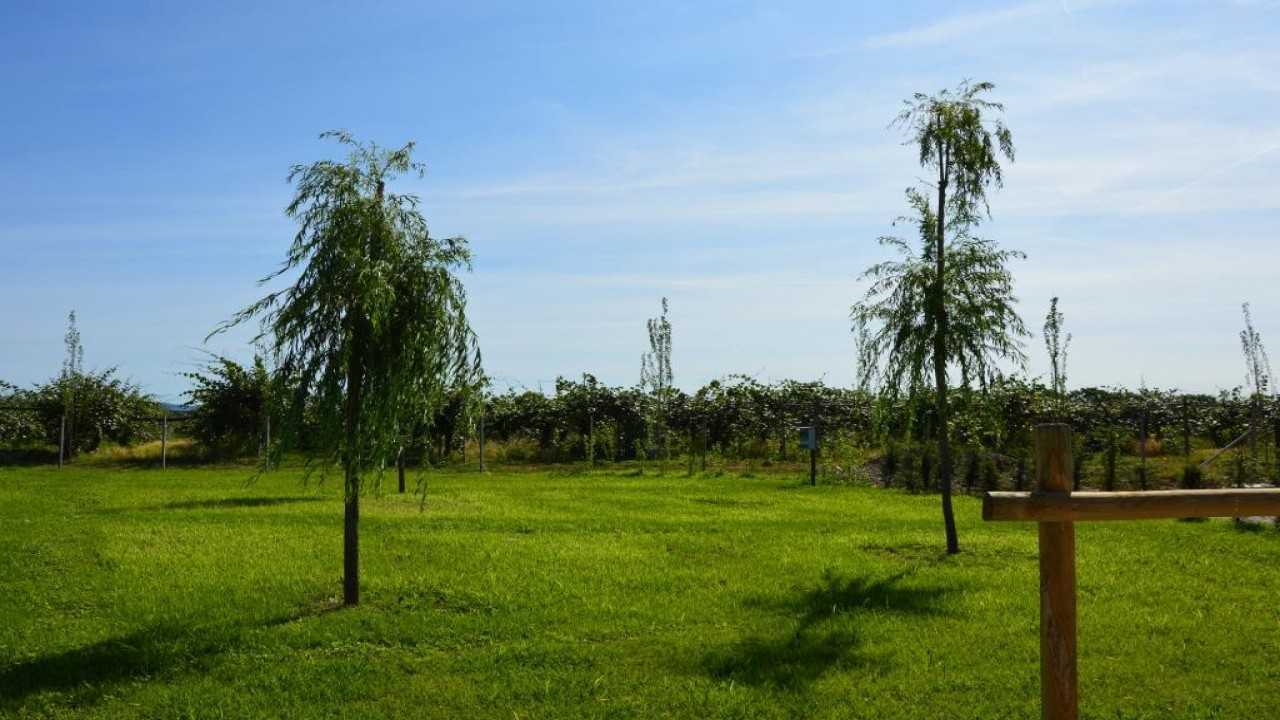Azienda Agricola Corte Comotto