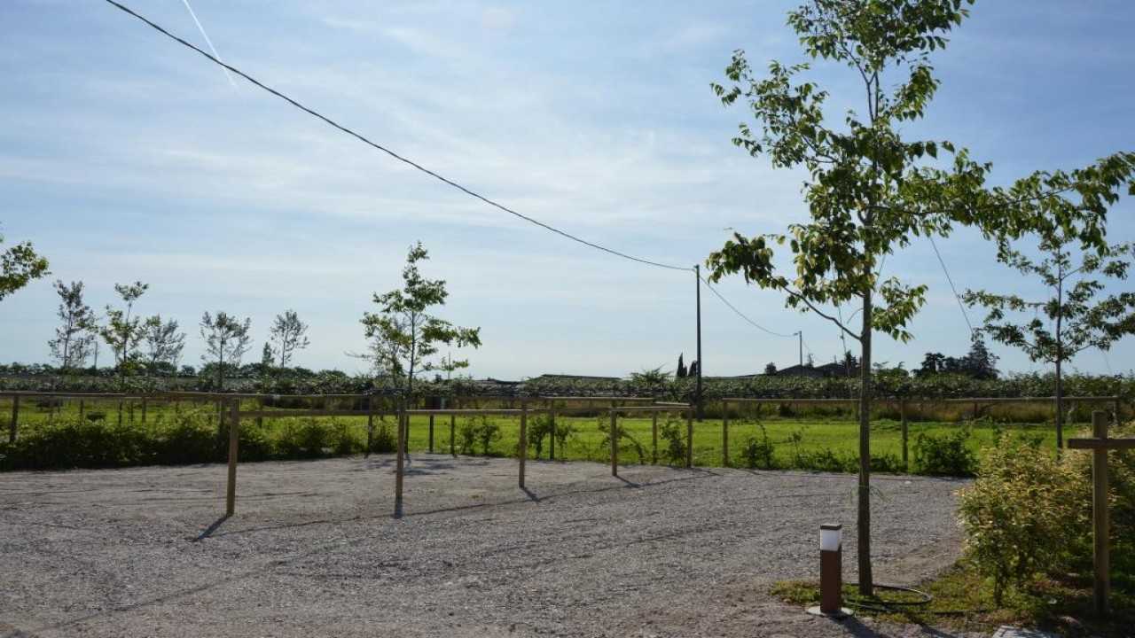 Azienda Agricola Corte Comotto