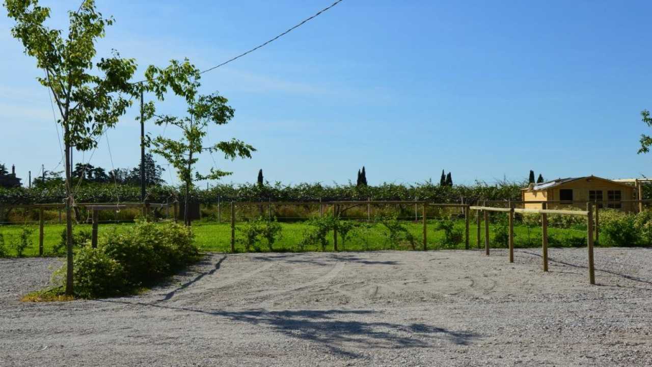 Azienda Agricola Corte Comotto