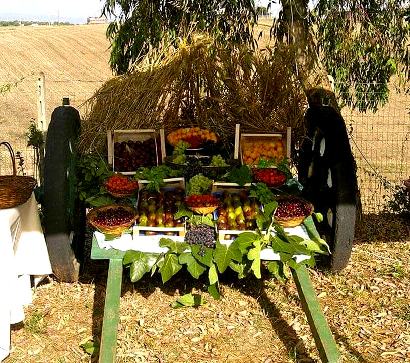 Area campeggio in un parco romano