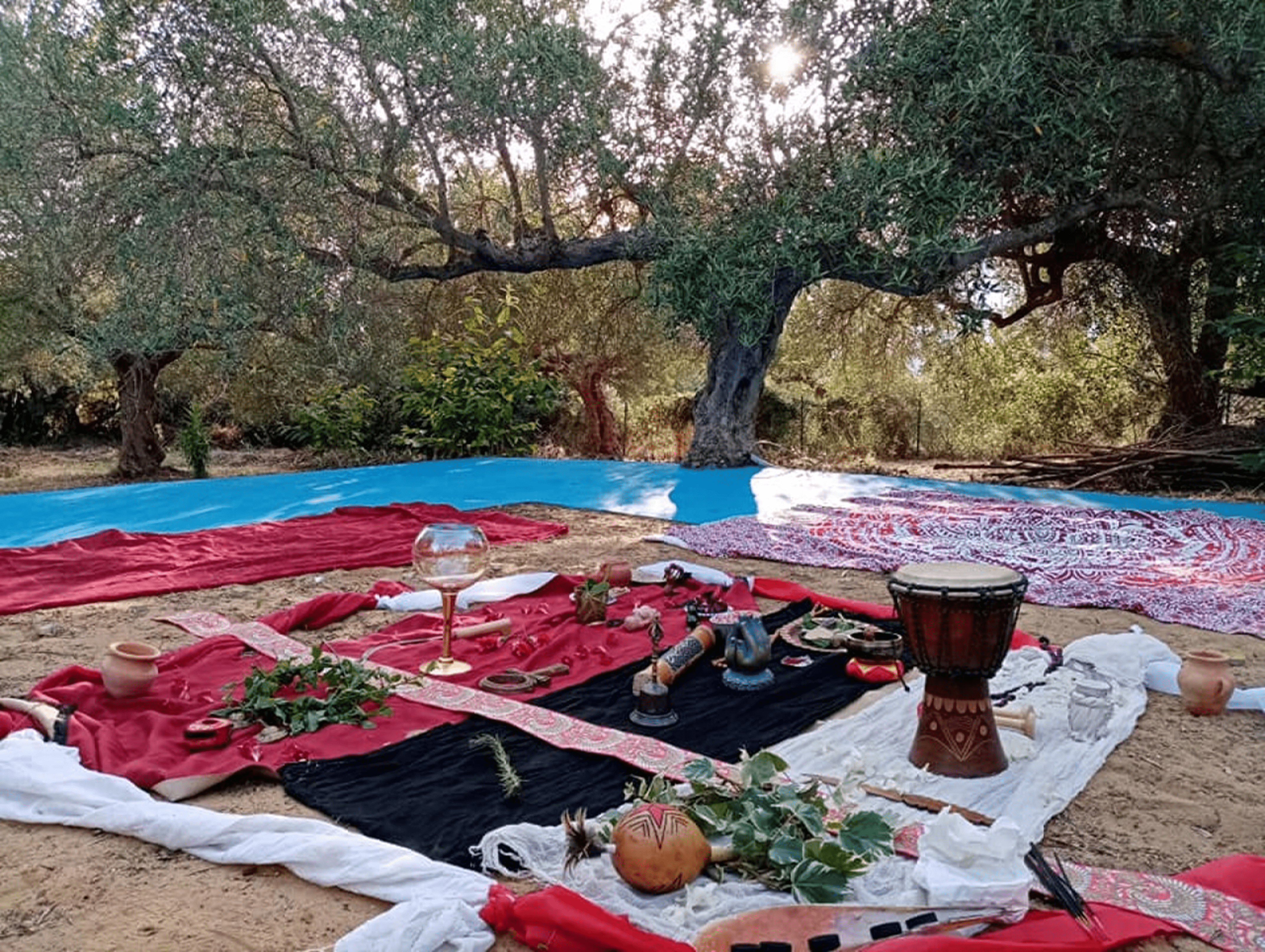 Il Giardino della Residenza d'Artista a Castellammare Del Golfo