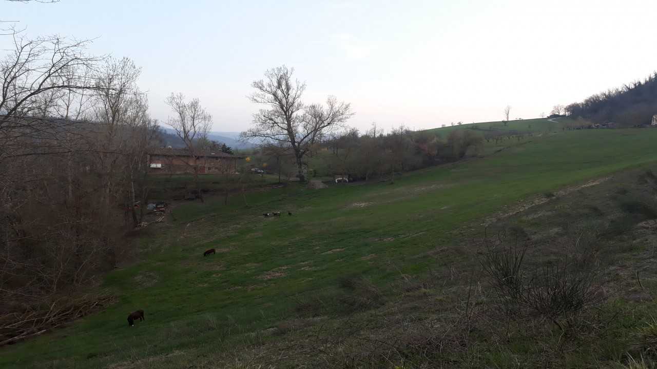 Le Terrazze di MSP: Relax e Natura a Monte San Pietro