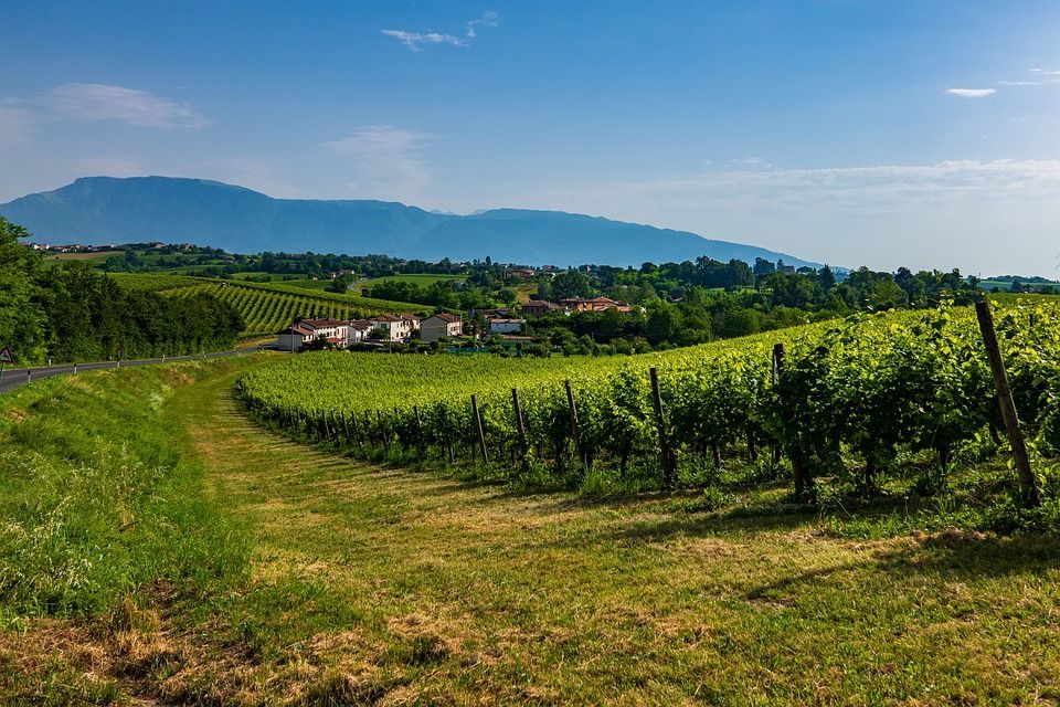 Le Terrazze di MSP: Relax e Natura a Monte San Pietro