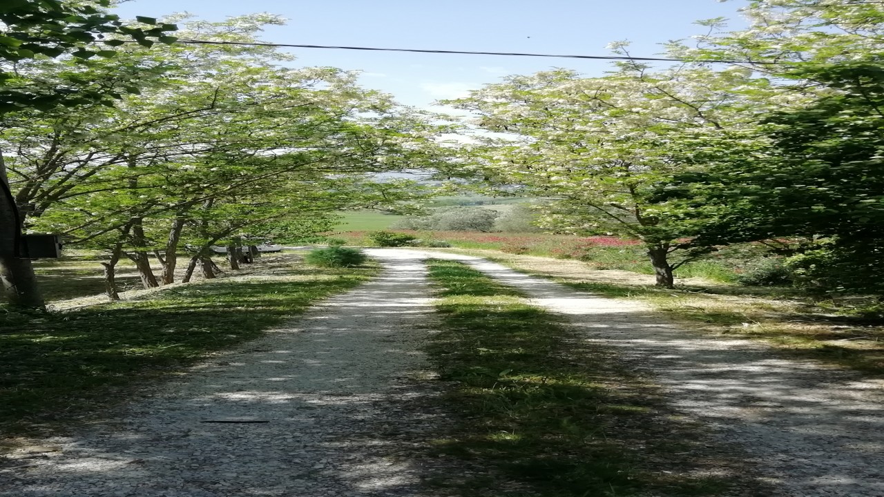 Giardino del Conero