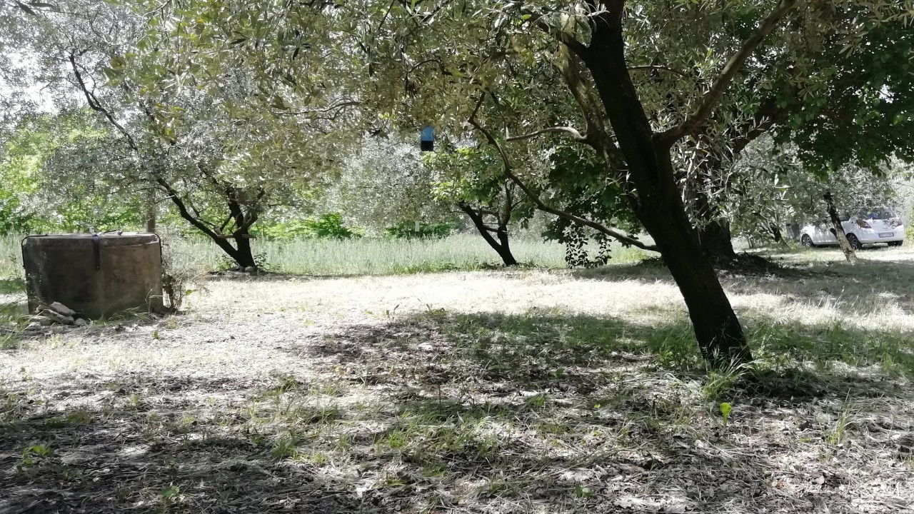 Giardino del Conero