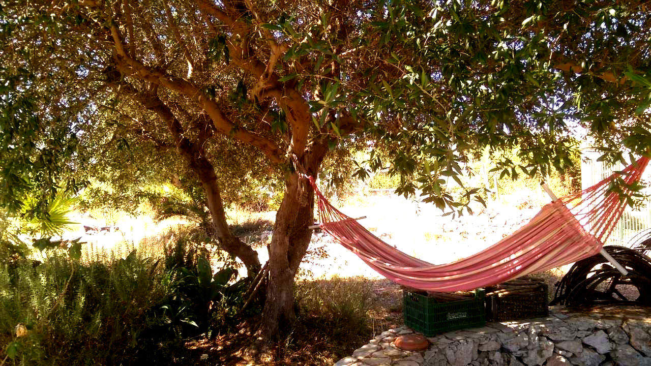 Spazio per tende in una casa di campagna a Siracusa