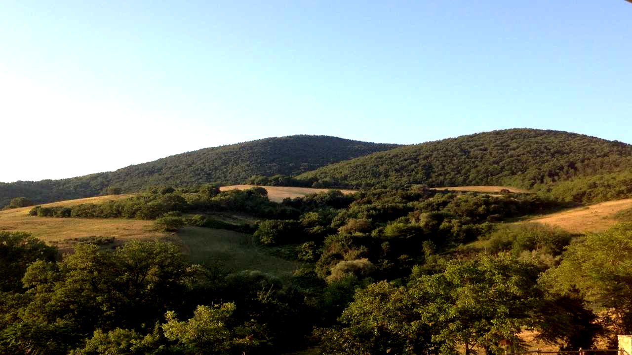 Camping nel verde di Ancona