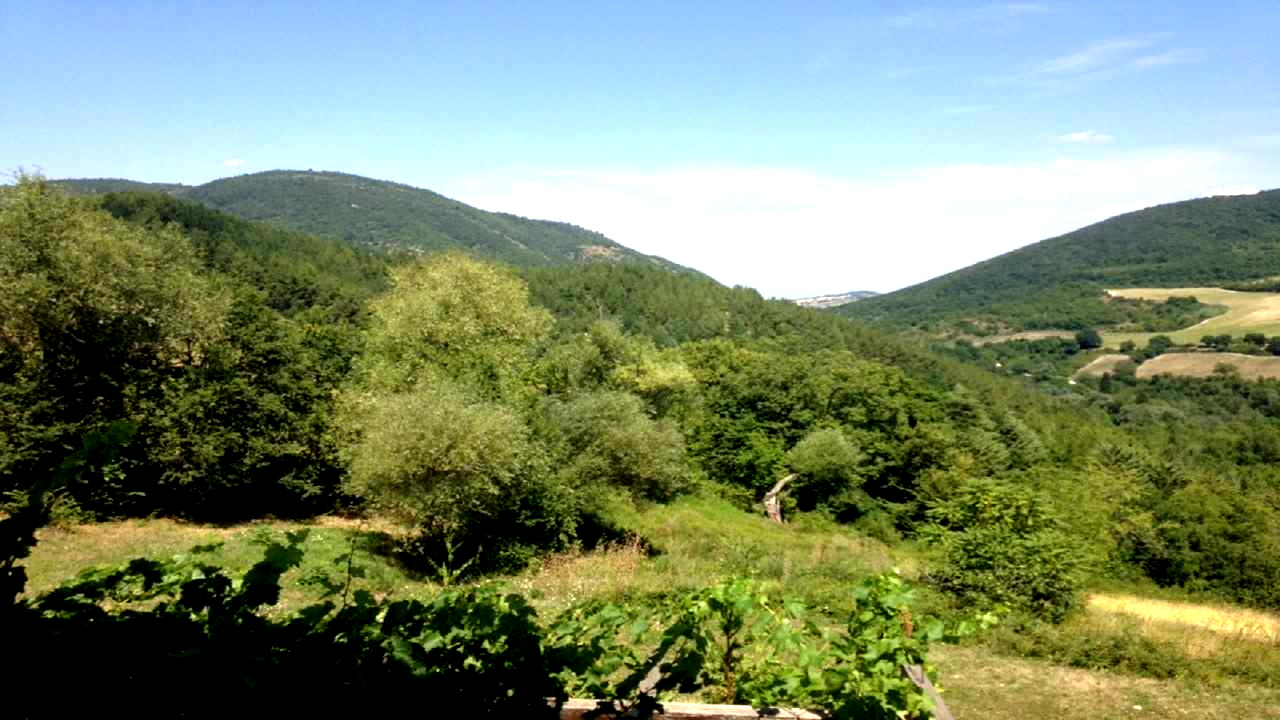 Camping nel verde di Ancona