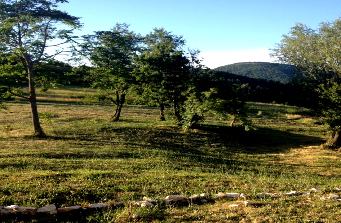 Camping nel verde di Ancona