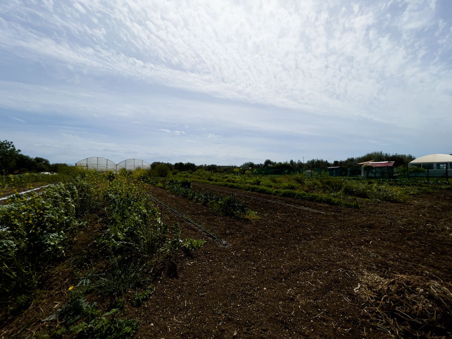 Oasis of Relaxation and Sea at Noto - Vicky, Agrimaccari's Caravan