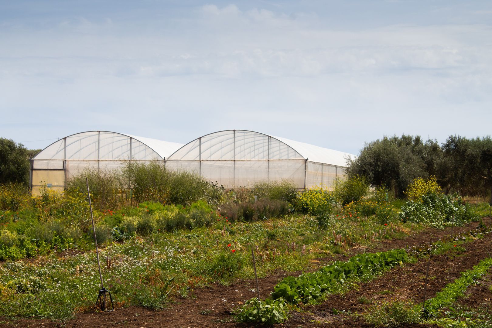 Oasis of Relaxation and Sea at Noto - Vicky, Agrimaccari's Caravan