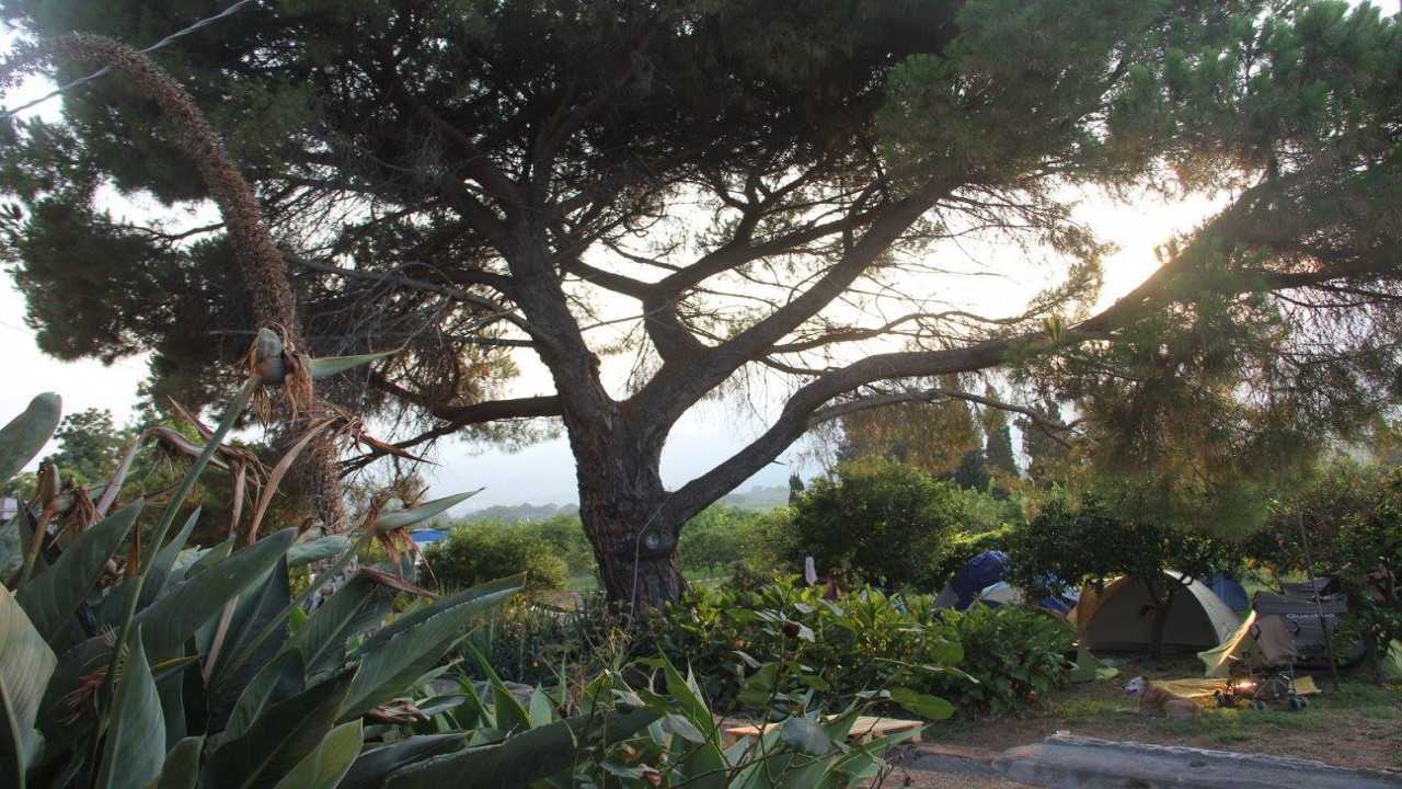 Il Giardino del Feotto - spazio camper e tende vicino Catania