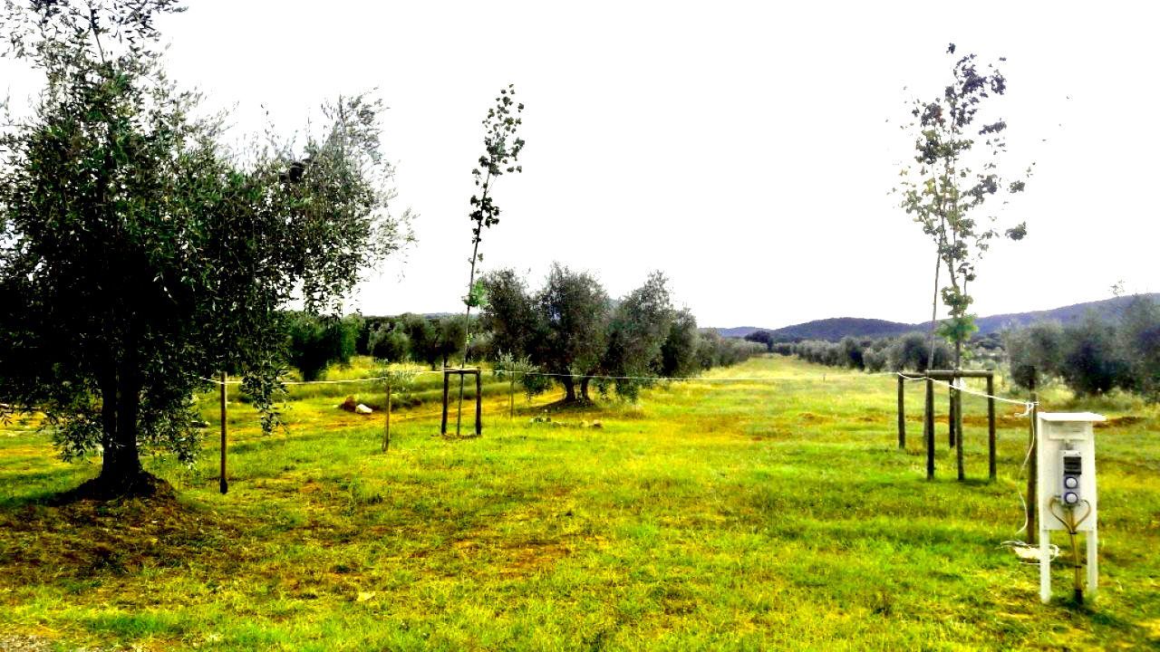 La Brada Toscana: Un'oasi di Relax e Natura a Batignano, Grosseto