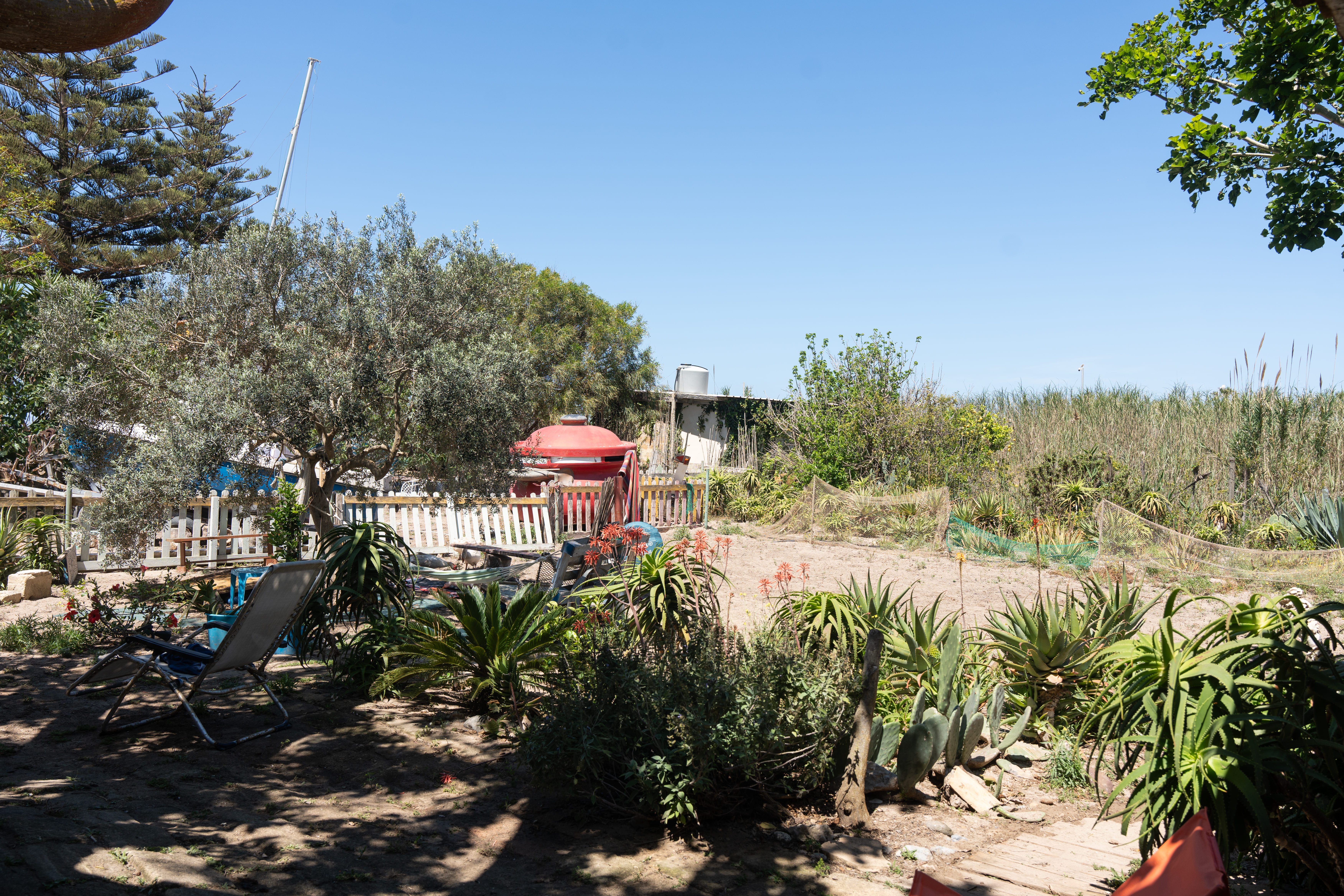 The Aloe's BeachGarden