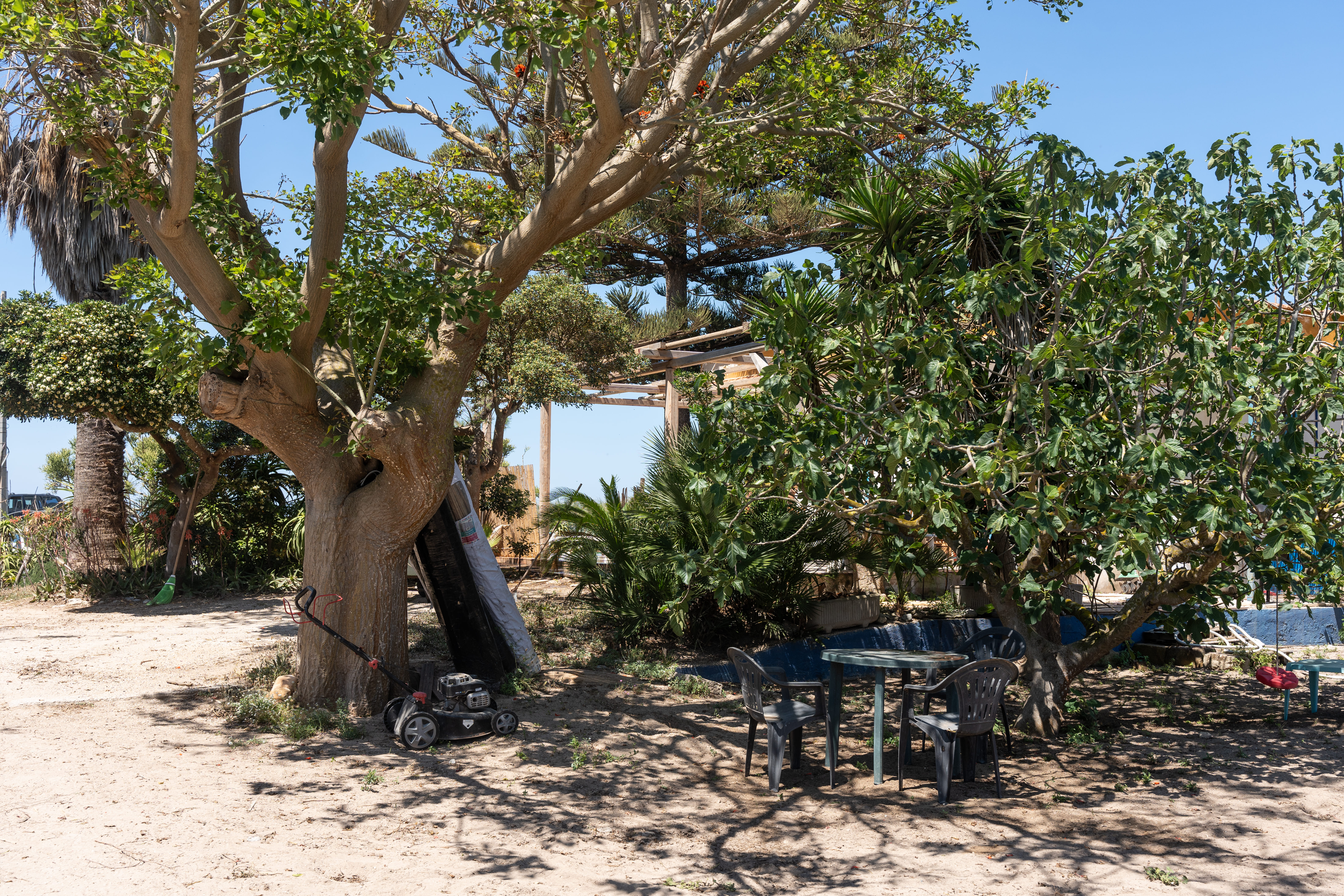 The Aloe's BeachGarden