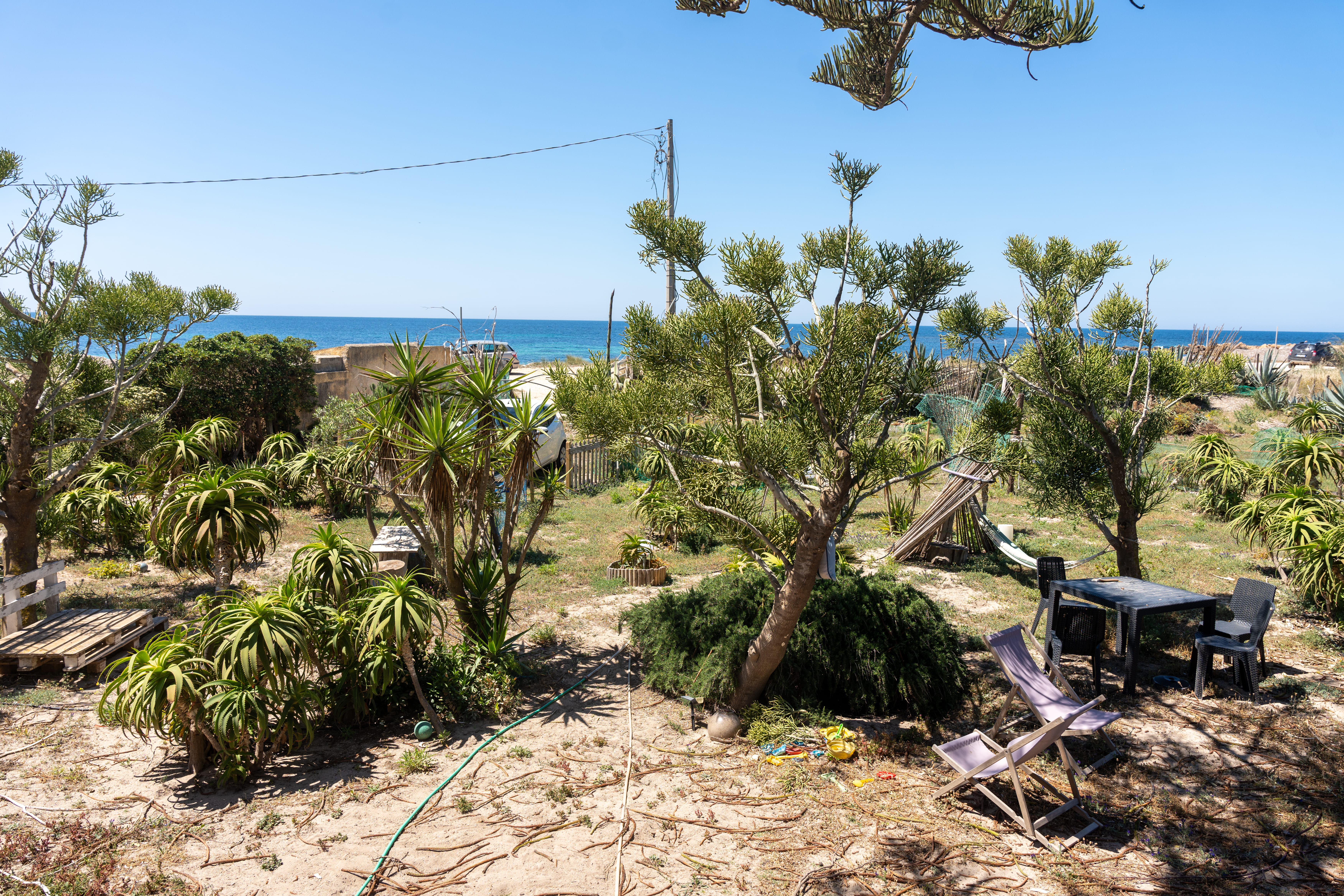 The Aloe's BeachGarden