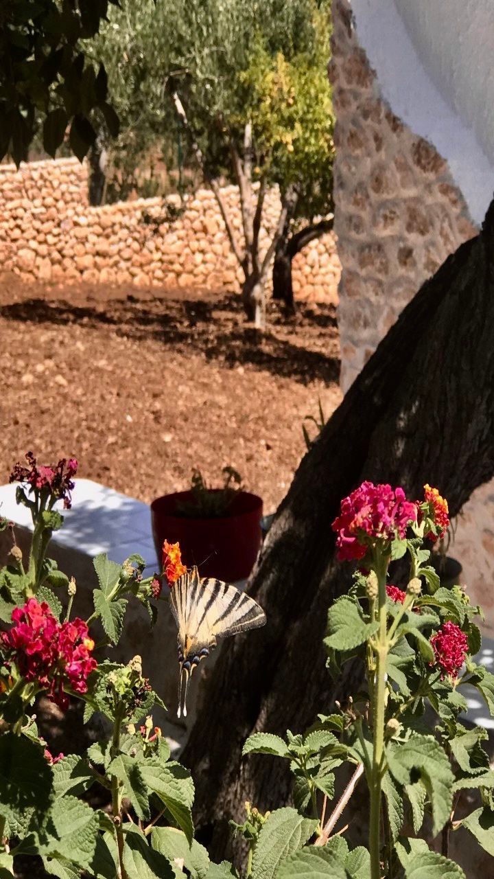 Un'oasi di tranquillità a Castellammare del Golfo