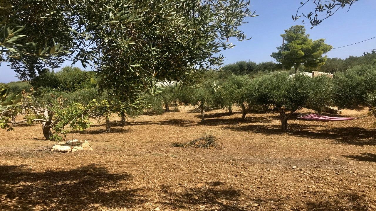 Un'oasi di tranquillità a Castellammare del Golfo