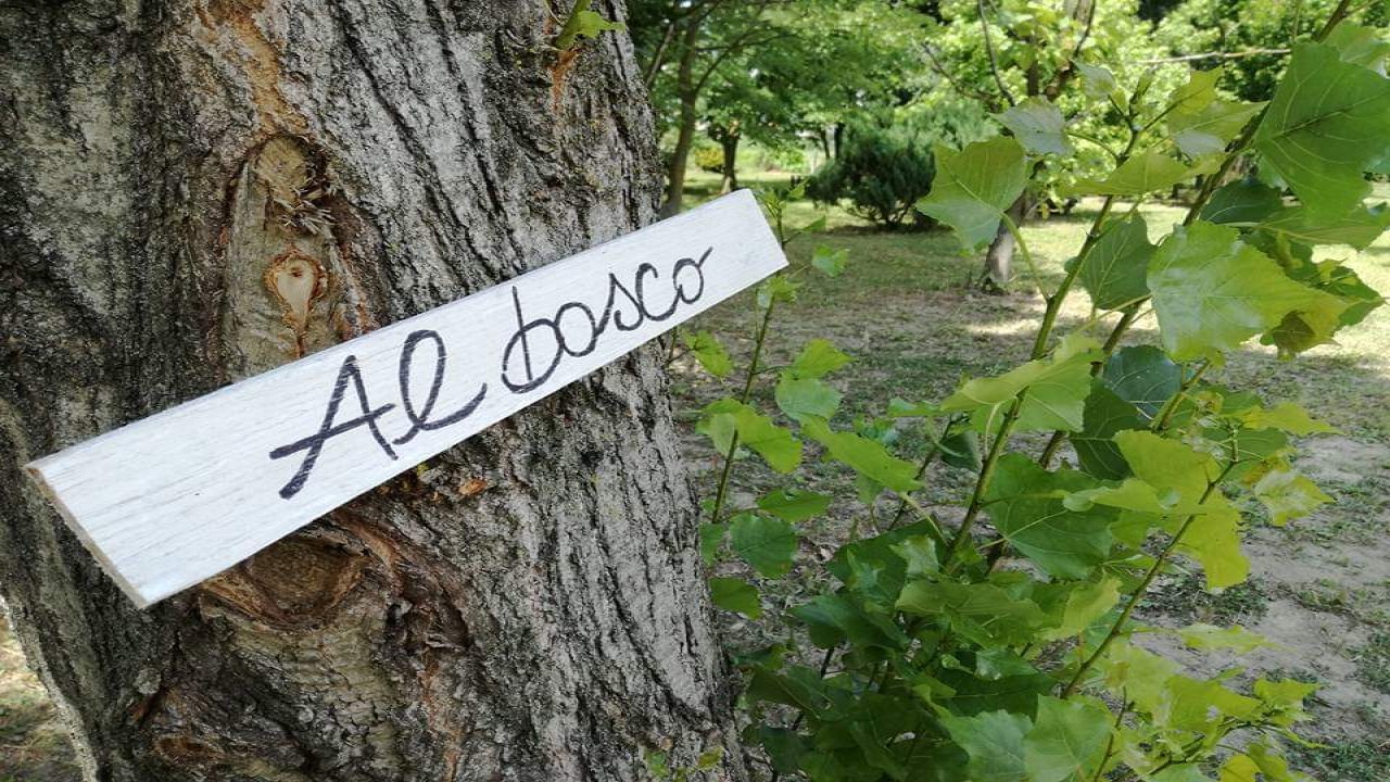 Il boschetto in campagna