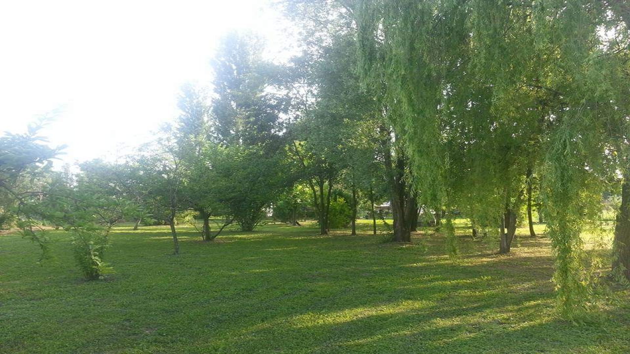 Il boschetto in campagna