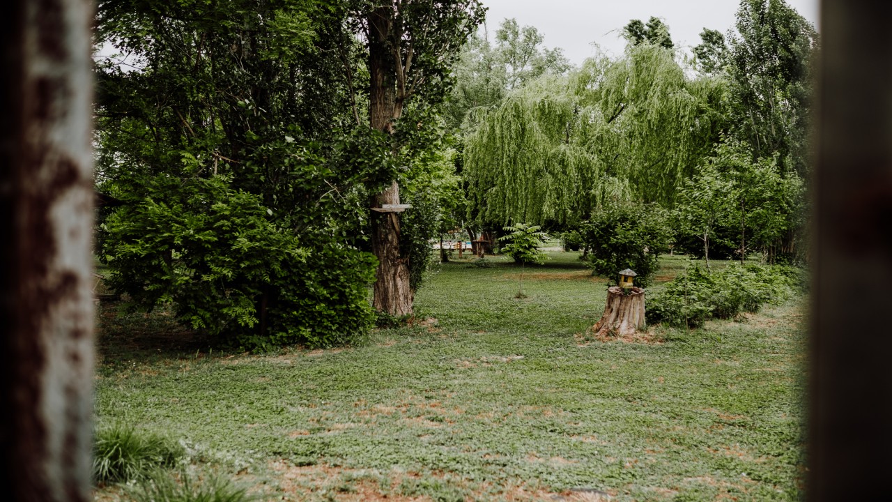 Il boschetto in campagna