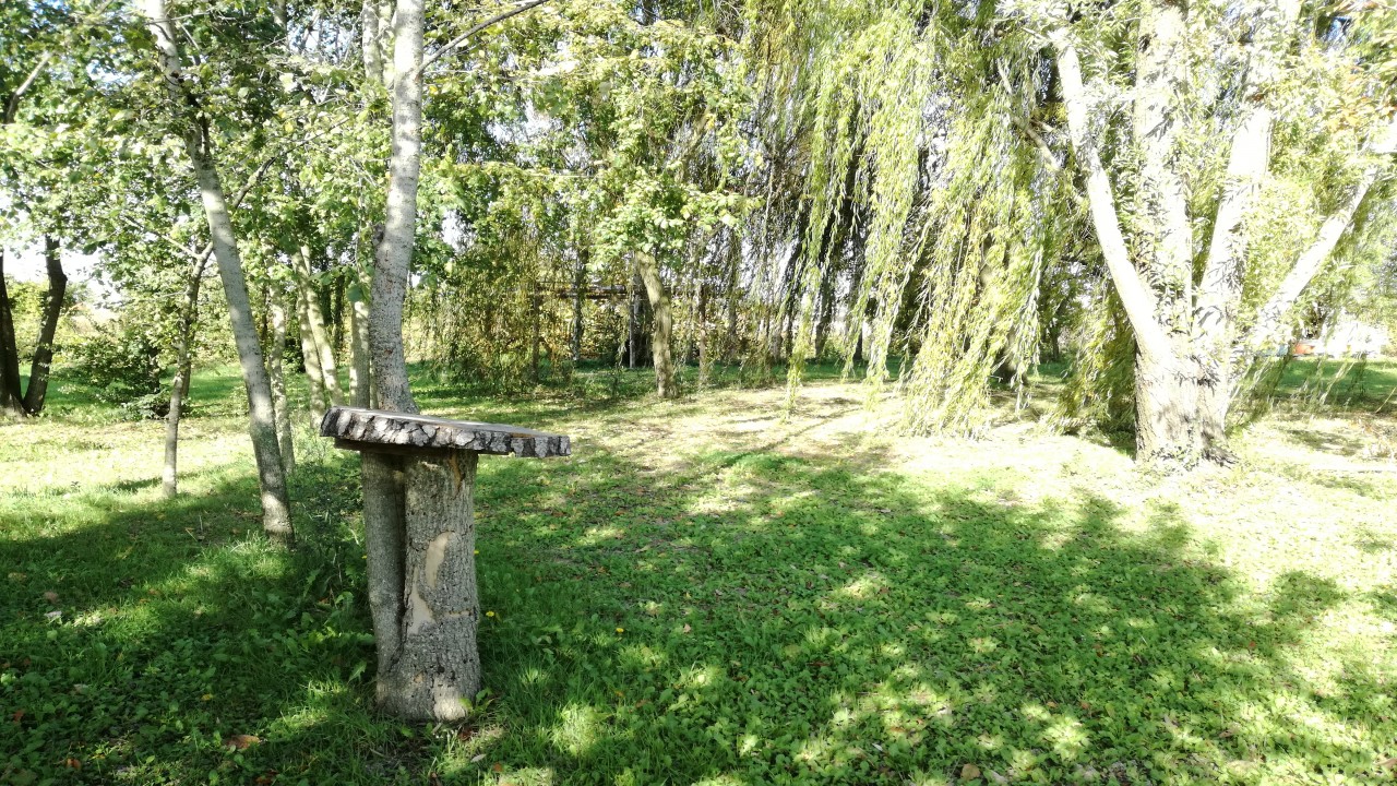 Il boschetto in campagna