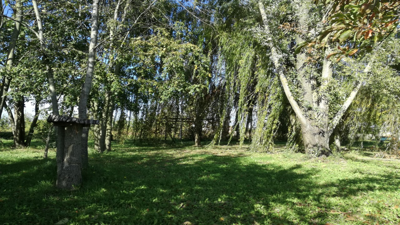 Il boschetto in campagna