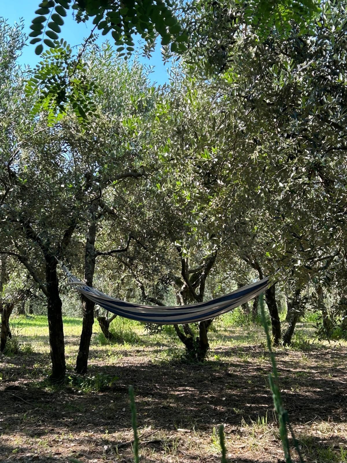 Gipsy Home: un rifugio nel cuore della Toscana