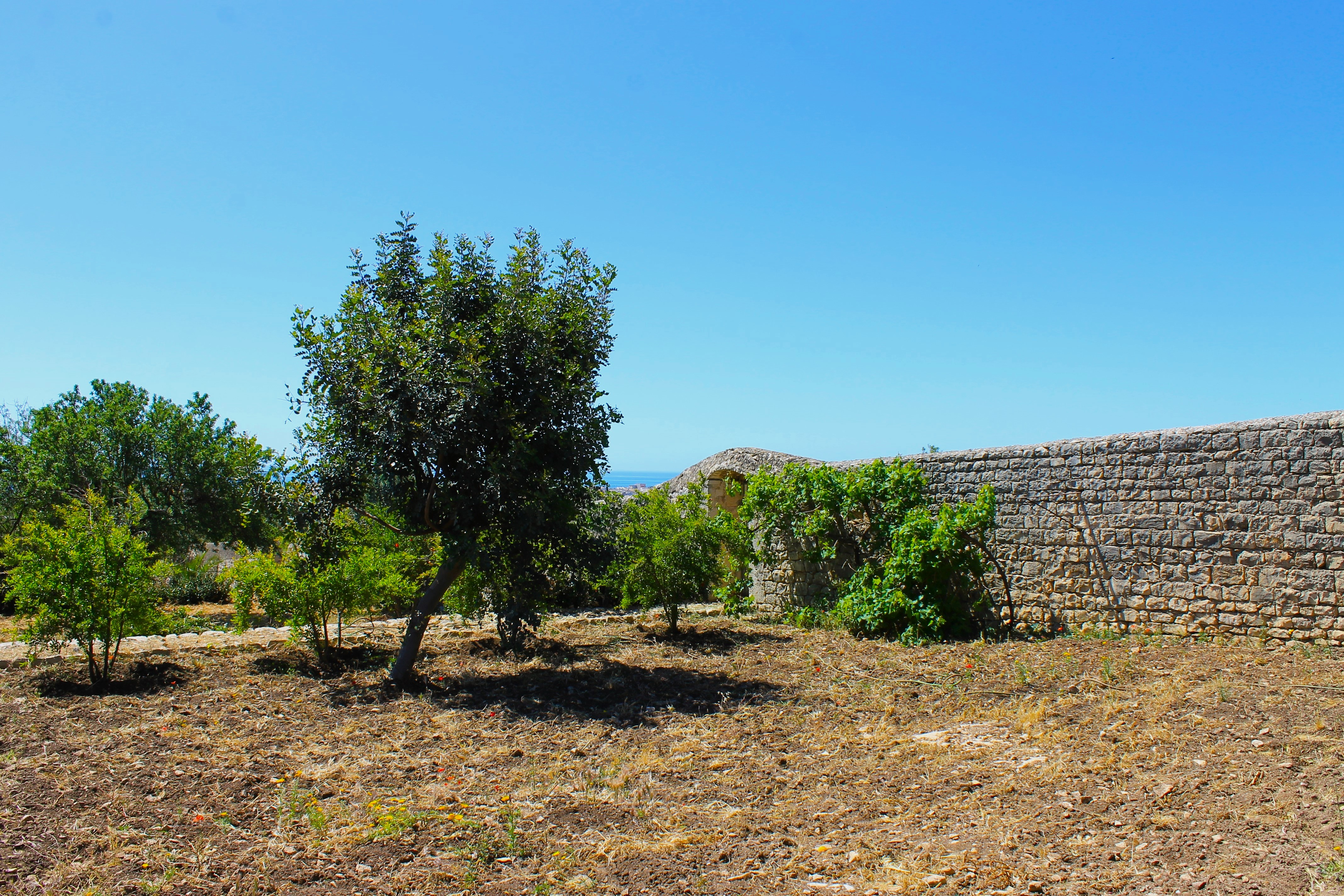 El jardín de la relajación rural de Kharrub