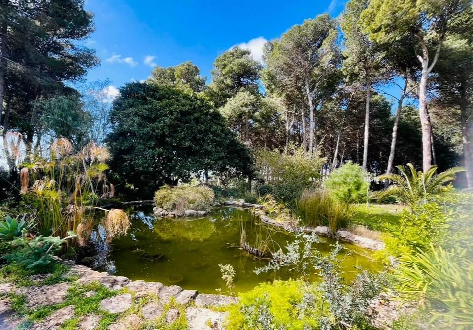 El jardín de Sossio