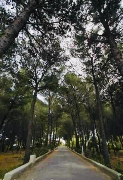 El jardín de Sossio