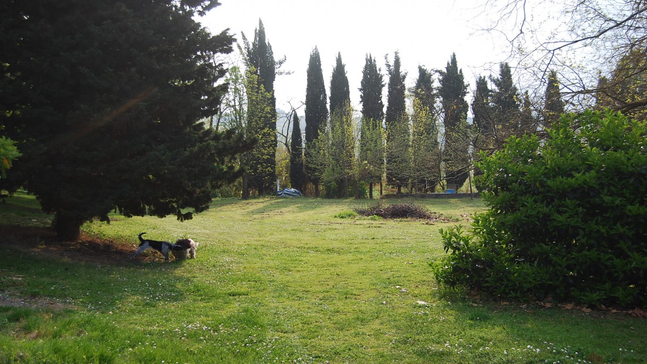 La Verde Cesena: Campeggio tra Città e Natura
